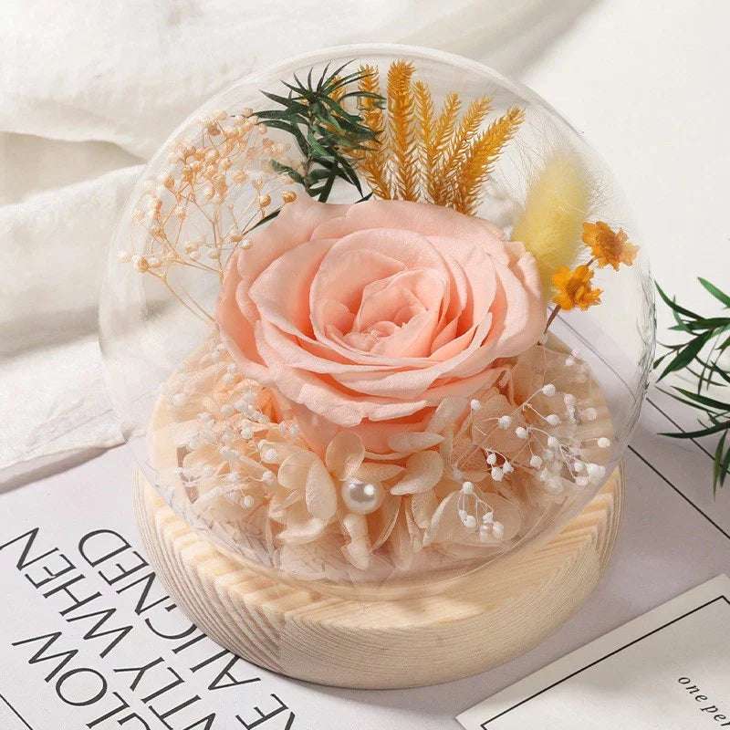 Long-Lasting Real Rose Flower, Unique Preserved Floral Gift for All Occasions